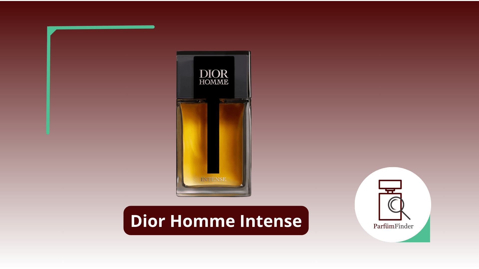 Du betrachtest gerade Dior Homme Intense Parfum Review: was macht dieses Männerparfüm so besonders? | Parfüm Finder