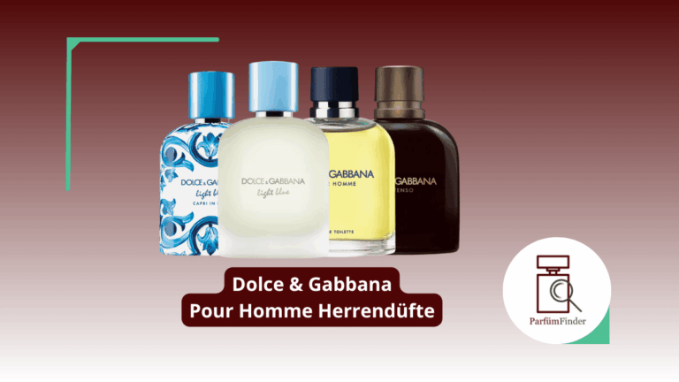 Mehr über den Artikel erfahren Dolce Gabbana Pour Homme Parfum: welche Pour Homme Herrendüfte gibt es und worin unterscheiden sie sich? | Parfüm Finder