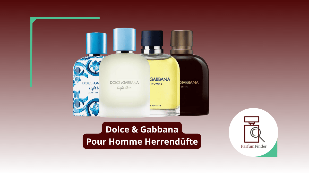 Mehr über den Artikel erfahren Dolce Gabbana Pour Homme Parfum: welche Pour Homme Herrendüfte gibt es und worin unterscheiden sie sich? | Parfüm Finder