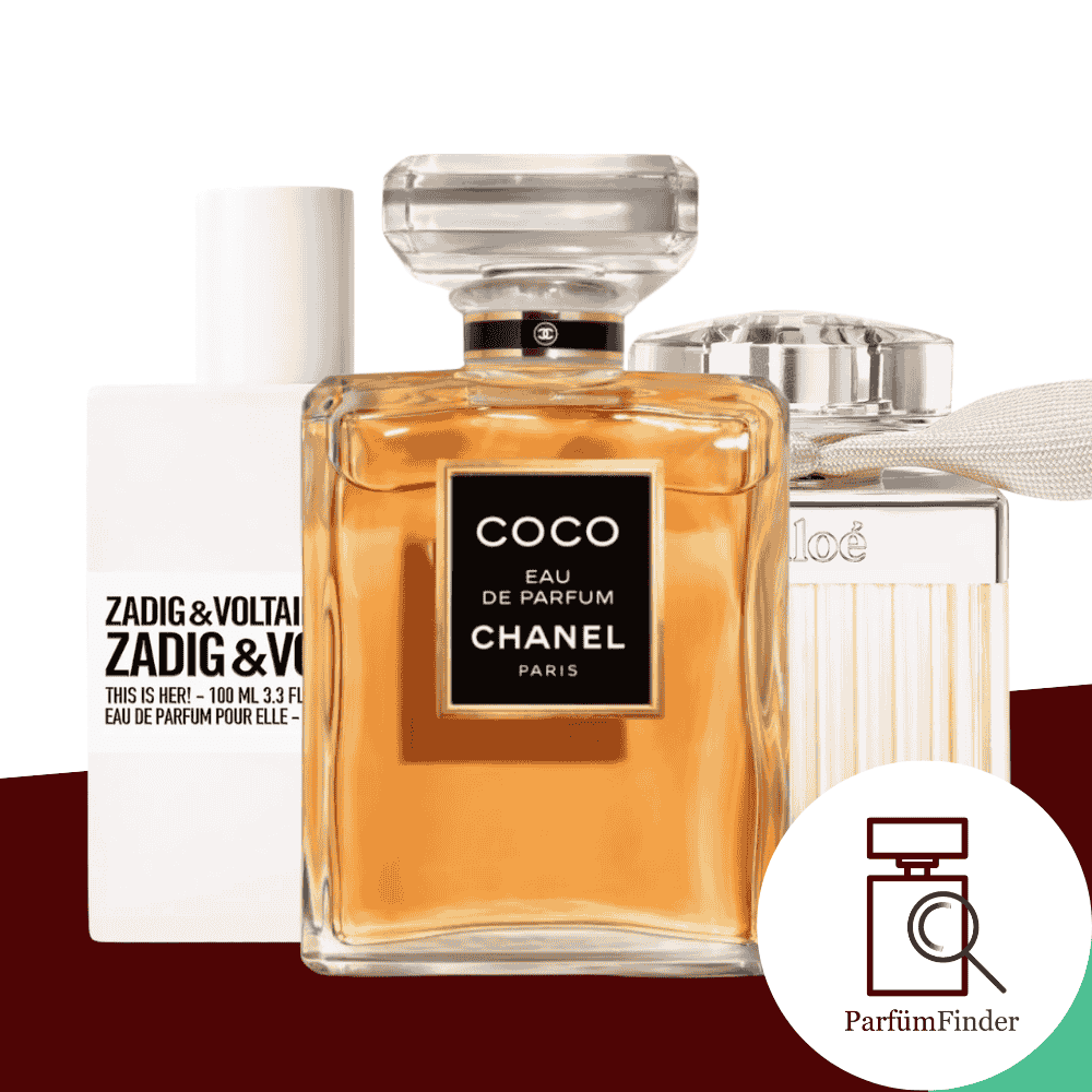 Headerbild beste Damendüfte für den Alltag