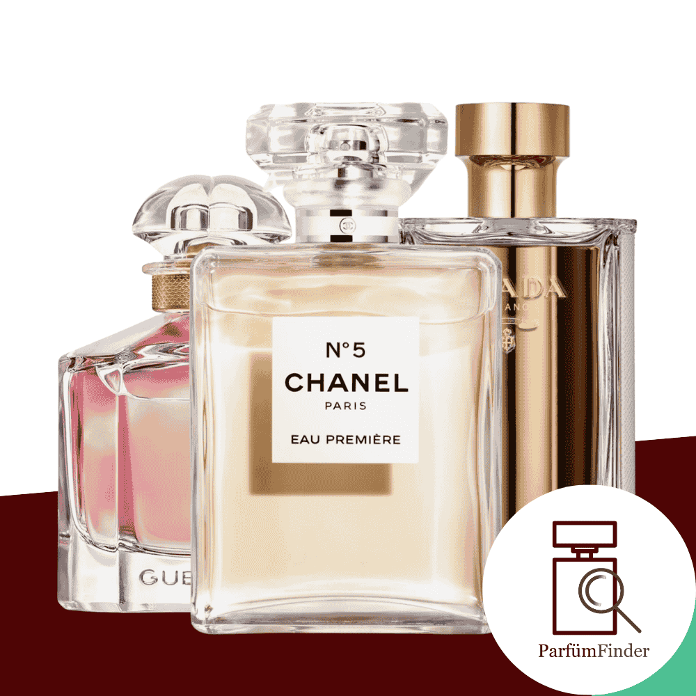 Headerbild beste Damendüfte für das Büro