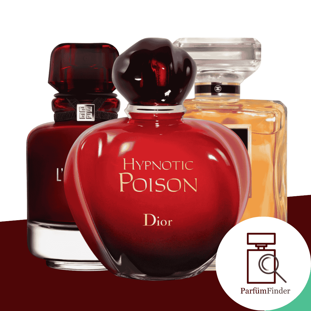 Headerbild beste Damendüfte für den Club