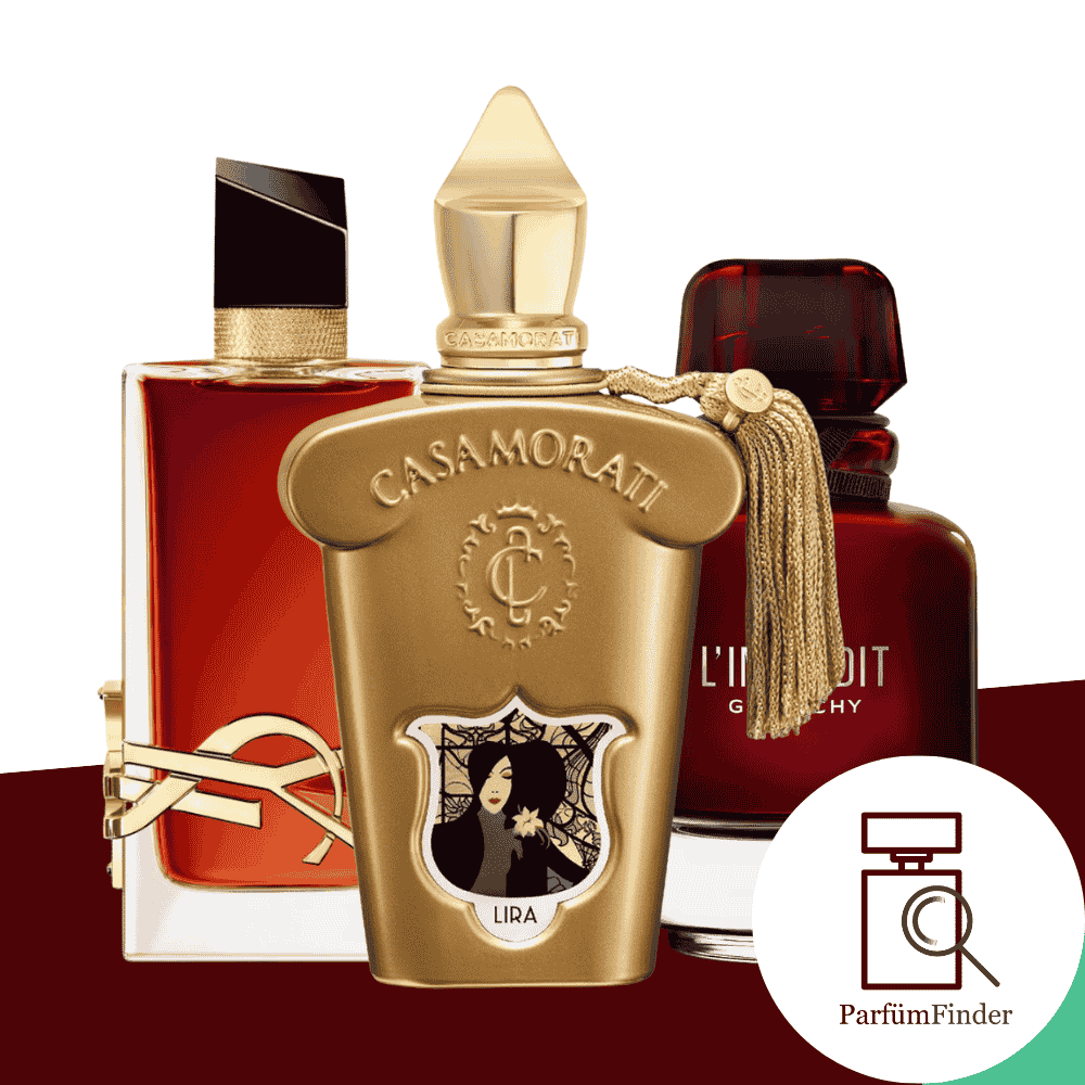 Headerbild beste Damendüfte für den Winter